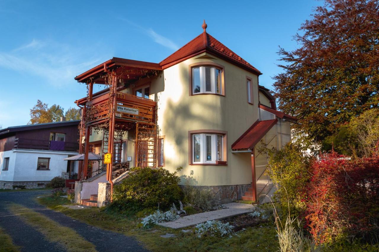 Vila Katarina 151 Татранська Ломниця Екстер'єр фото